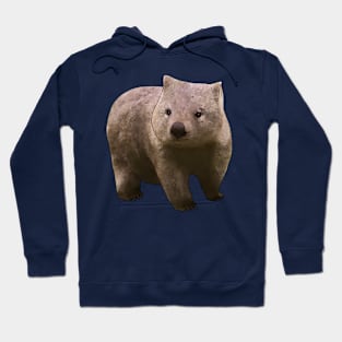 Common Wombat Hoodie